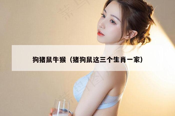 狗猪鼠牛猴（猪狗鼠这三个生肖一家）